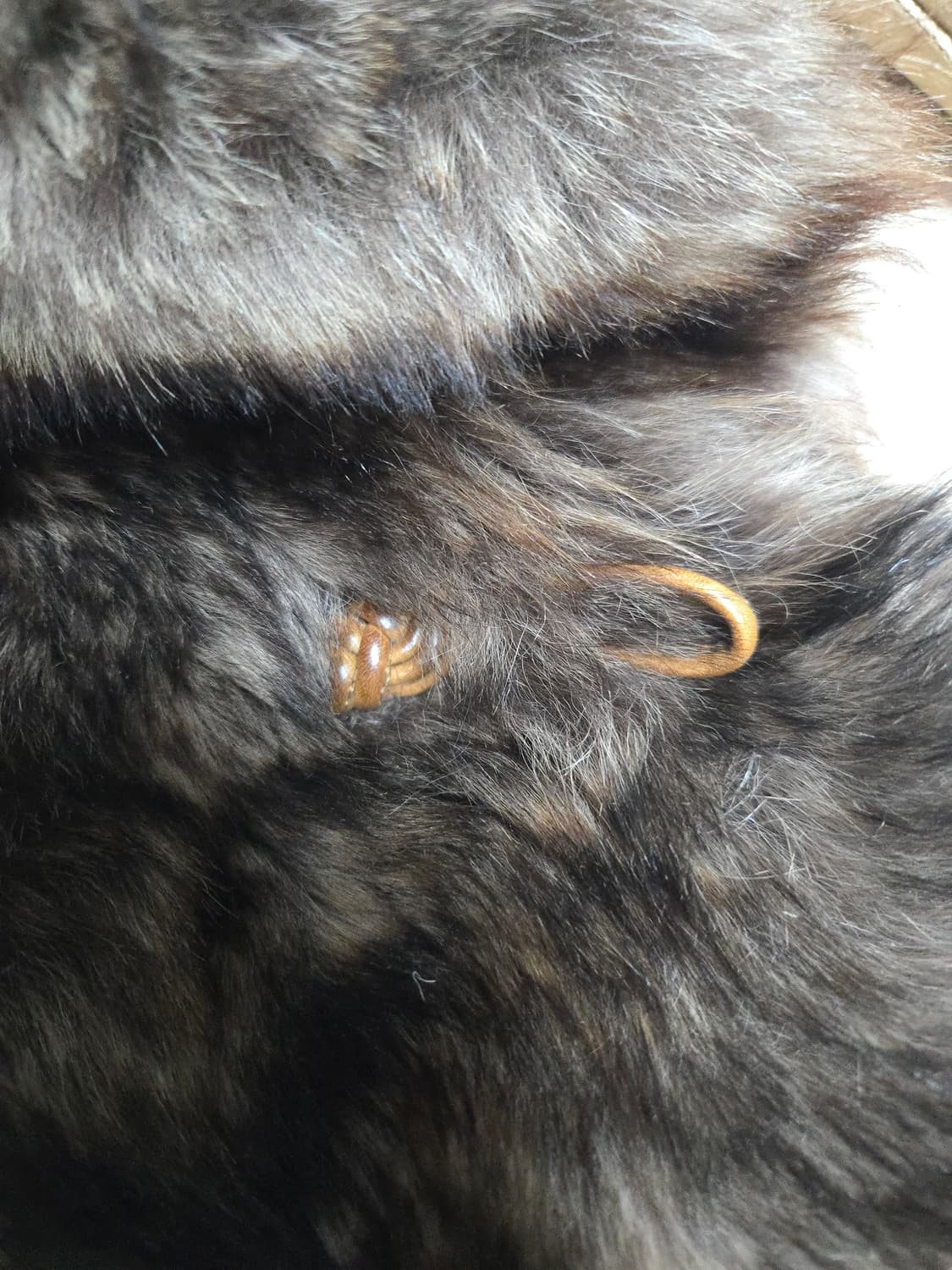 (초레어템) 폴로 POLO 랄프로렌 앙모피 55~ 상품이미지4