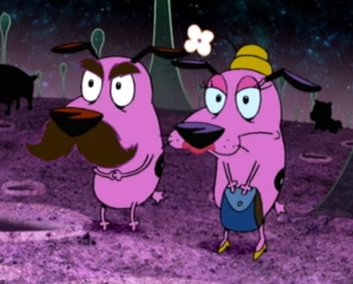 연말15% 에스닉핸드메이드 악세서리 세일합니다🦎📿🫱🏽‍🫲🏾 상품이미지10