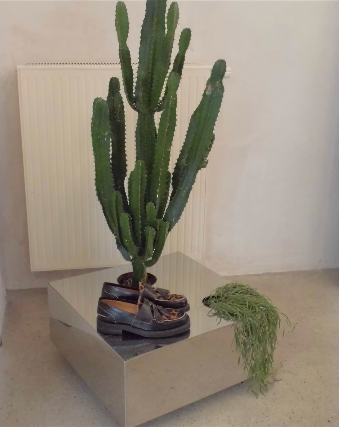 카시오 엑슬림 EX-Z19 🍋 상품이미지5