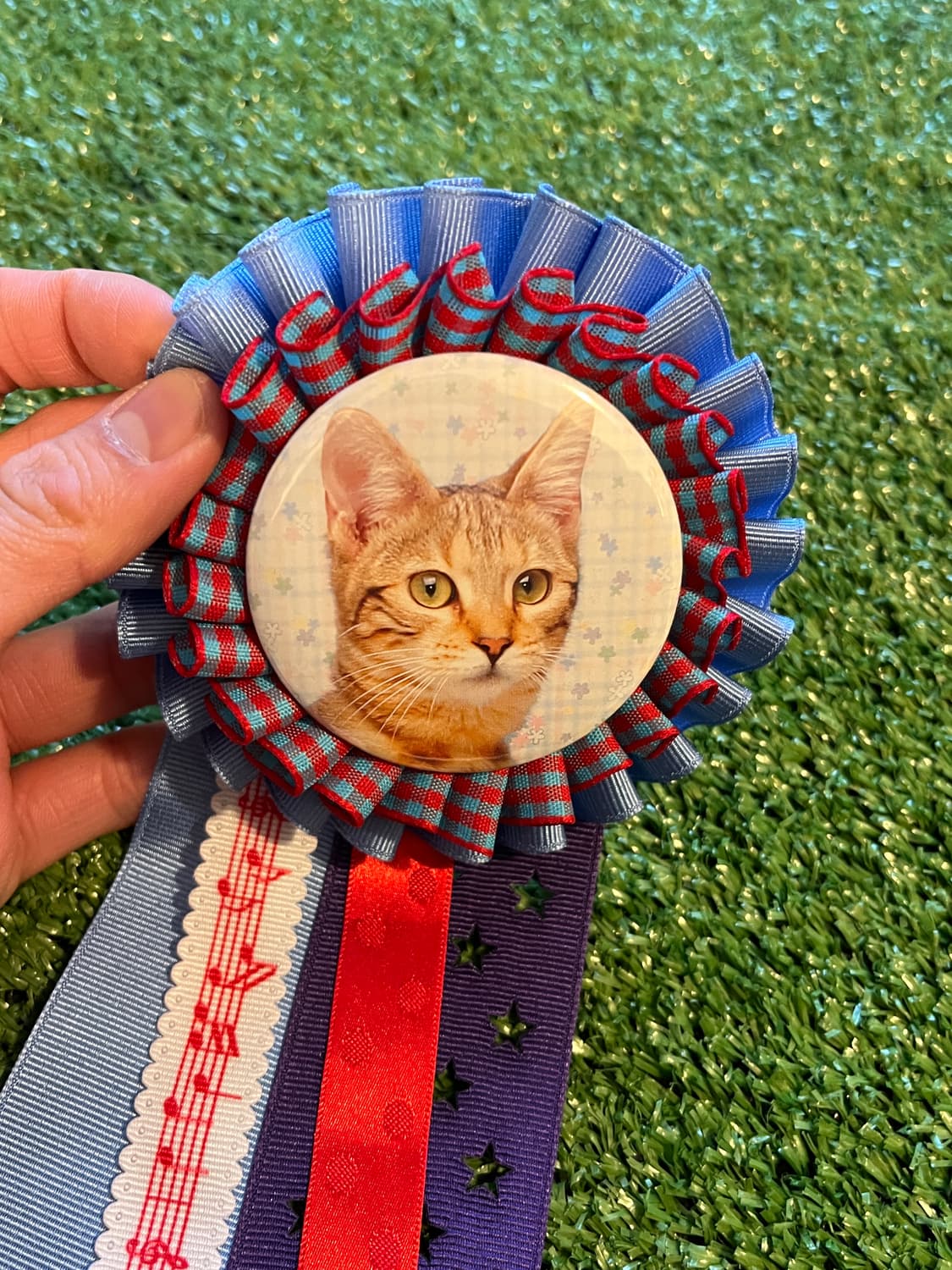 씩씩한 고양이 로제트 🐱 상품이미지3