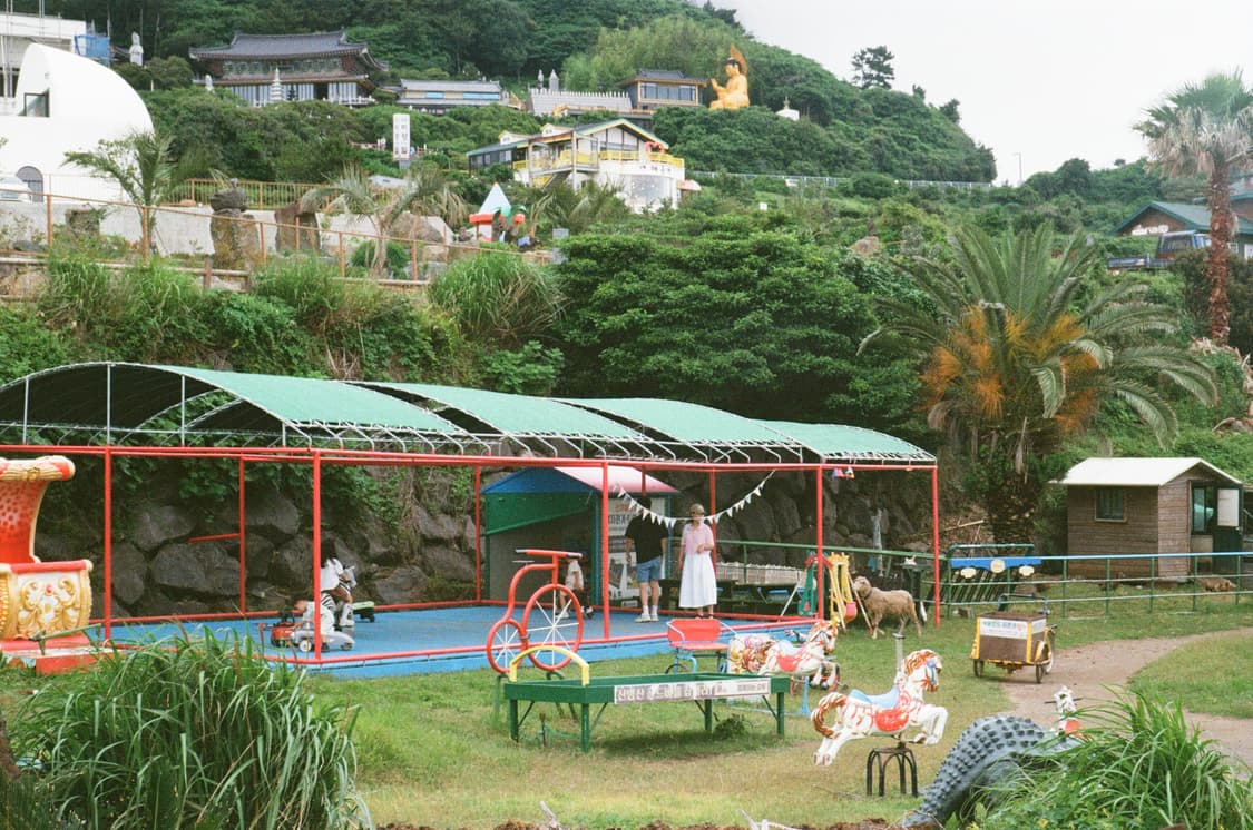 라이카 z2x 블랙 데이터백 필름카메라 상품이미지6