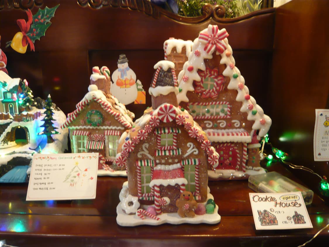 panasonic DMC-FX55 (작례 있어요) 상품이미지7