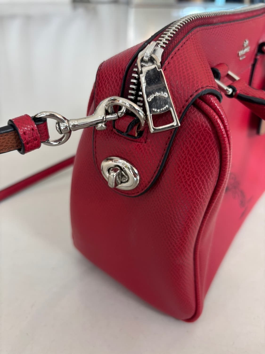 Coach X Peanuts Snoopy Leather Bag 상품이미지5