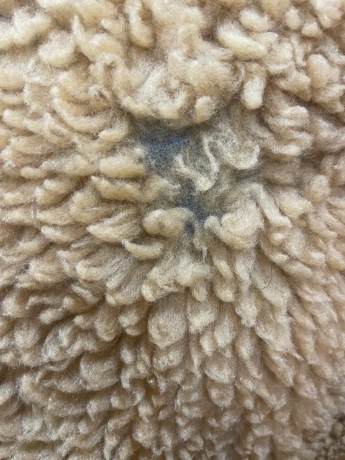 01 파타고니아 deepplie jacket xxl 데킬라골드 상품이미지7