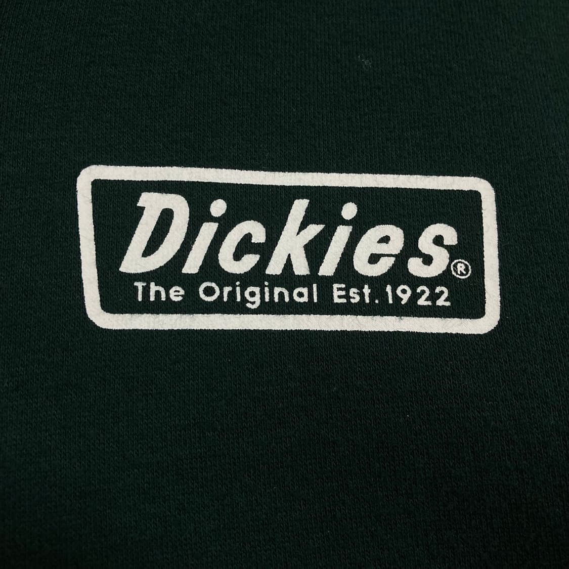 디키즈 스펠아웃 빅로고 그린 컬러 후드 집업 상품이미지4