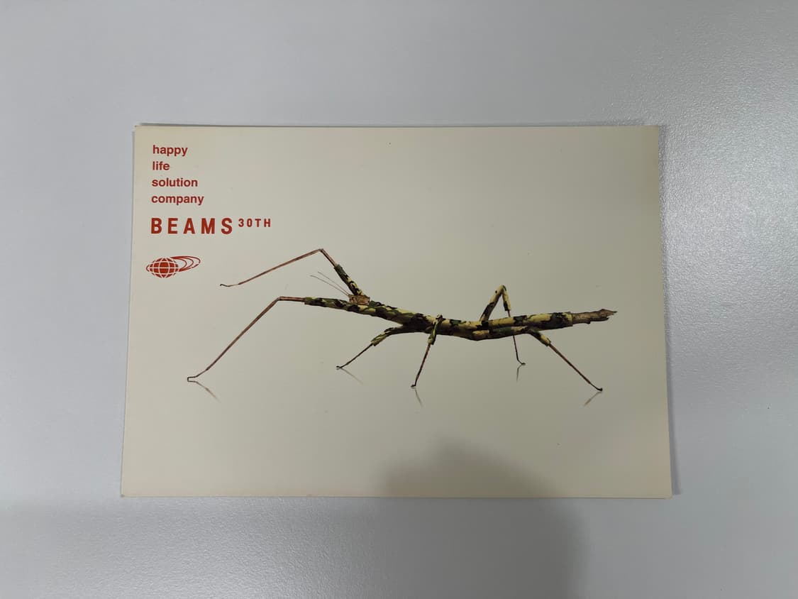 빔즈 30주년 기념 한정 아트 포토 Beams AD2006 상품이미지3