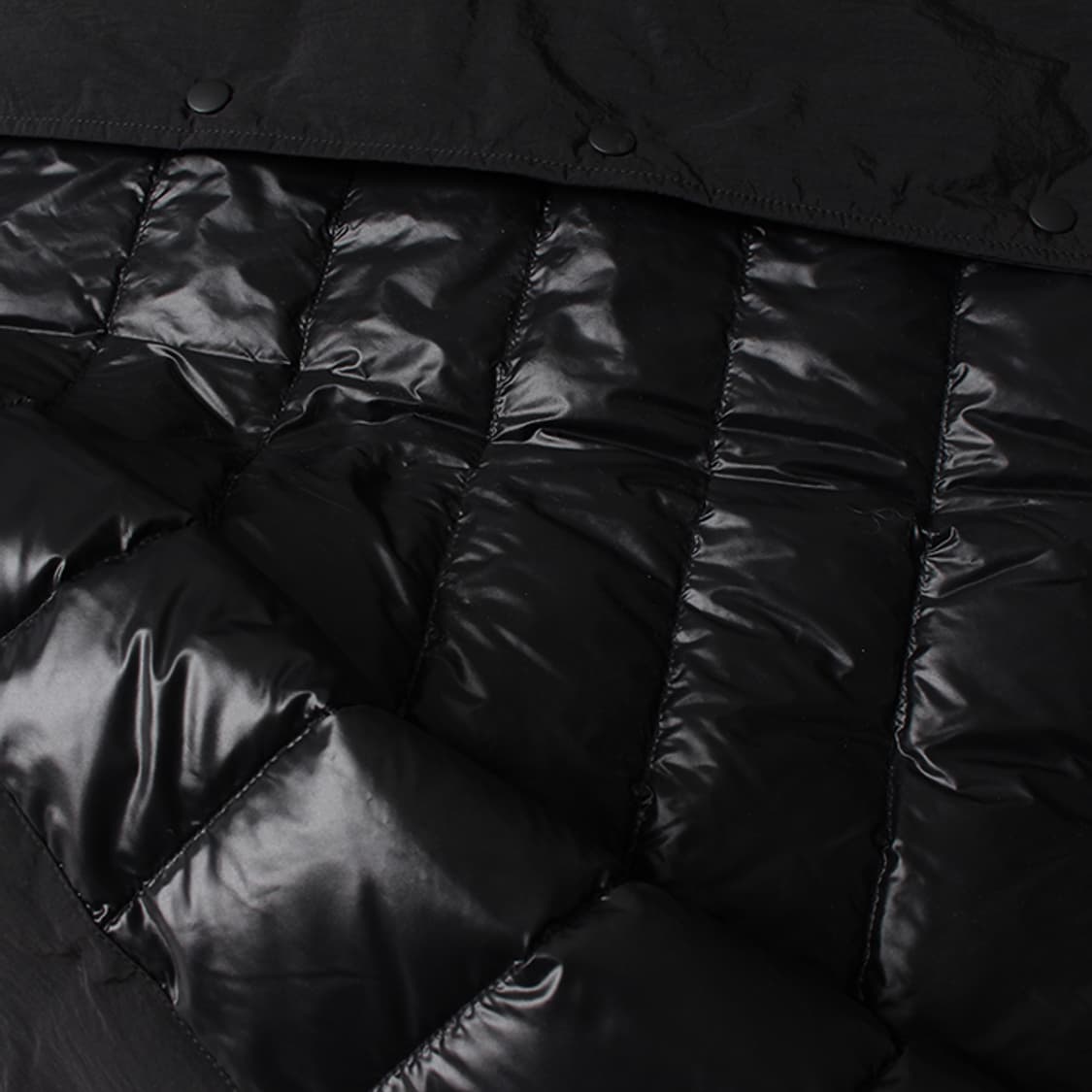  DANTON "Black Down" 상품이미지9