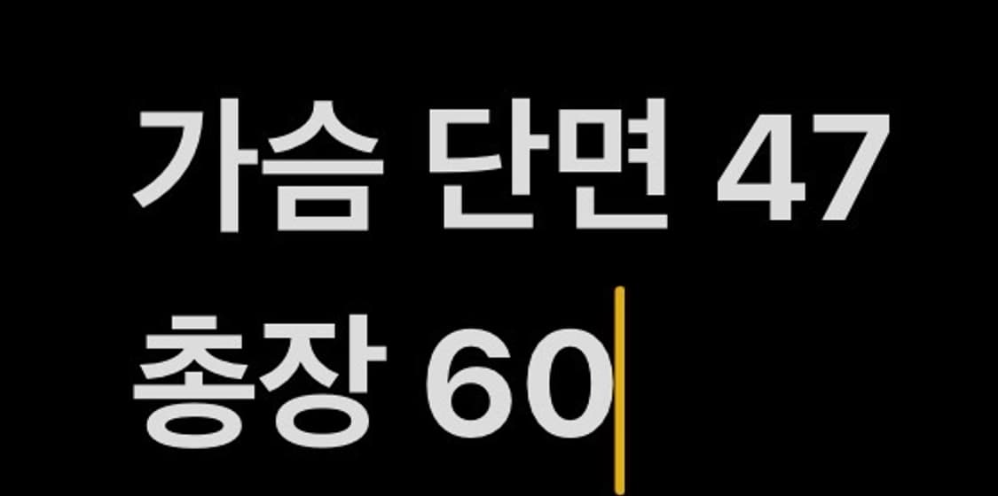 [정품/13호] 삼성 라이온즈 주니어 퀼팅 야구점퍼 b10 상품이미지9