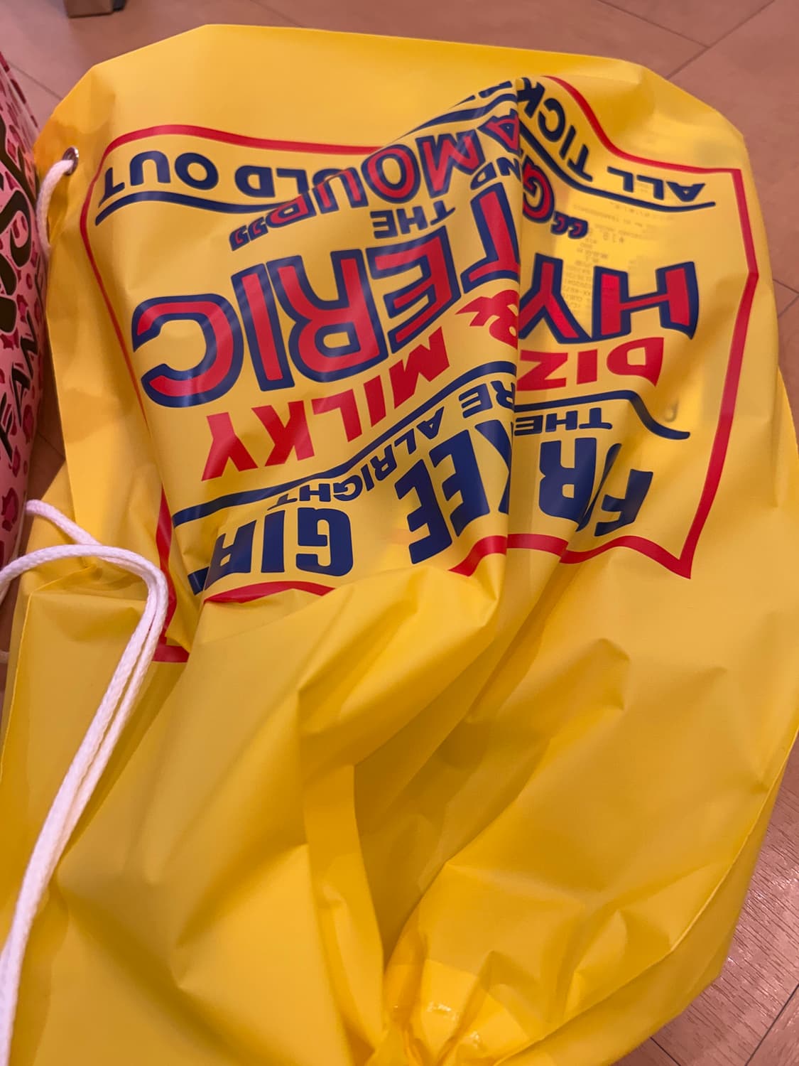히스테릭글래머 STEPHAN 스테판 패턴 보스턴백 민트 핑크 가방 상품이미지2