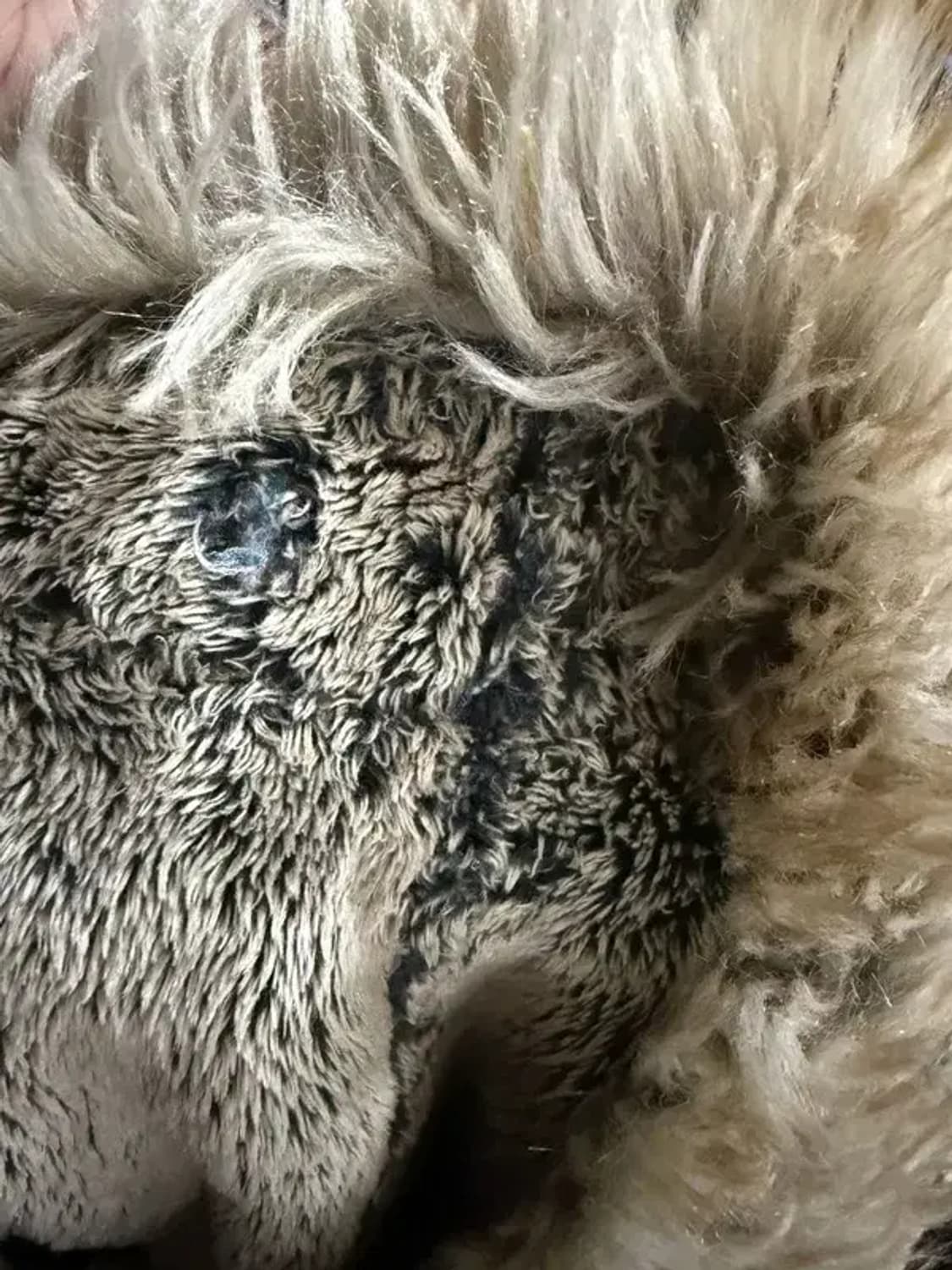 A2167 빈티지 퍼 조끼 [ SIZE: XS ] 상품이미지4