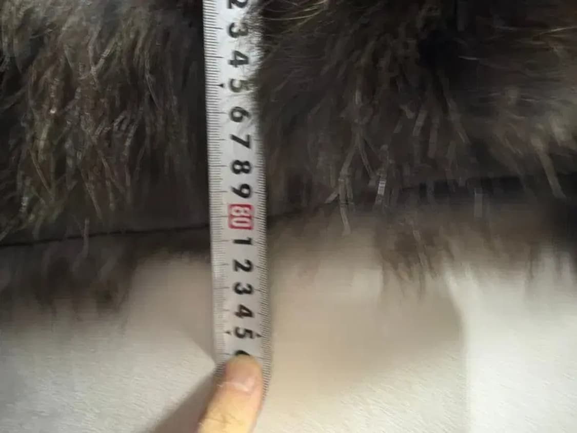 A2662 [ HASSTIGE ] 양가죽 털코트 [ SIZE: 99 ] 상품이미지4