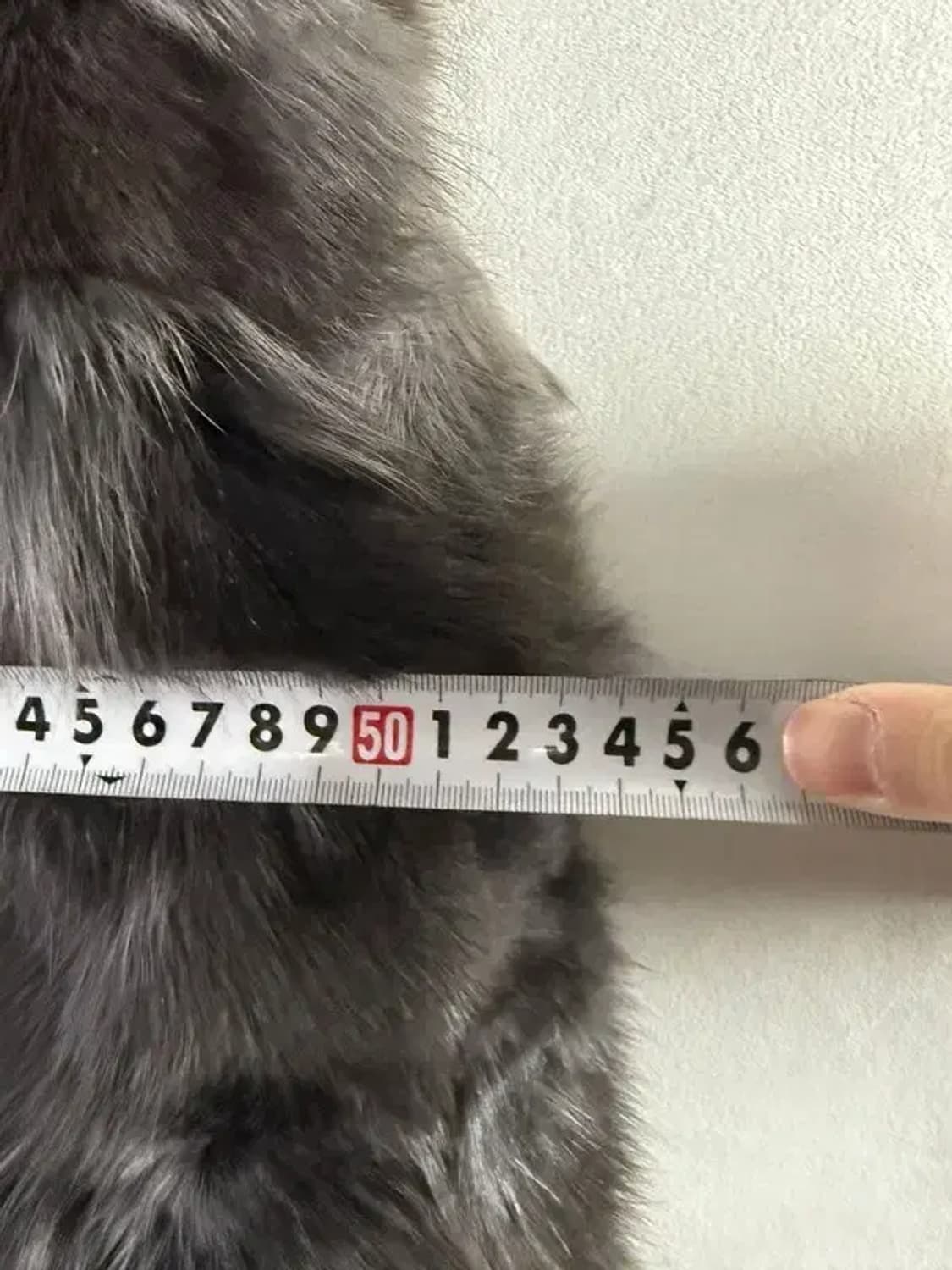 A2680 [ SI ] 씨 여우 모피 조끼 [ SIZE:L] 상품이미지5