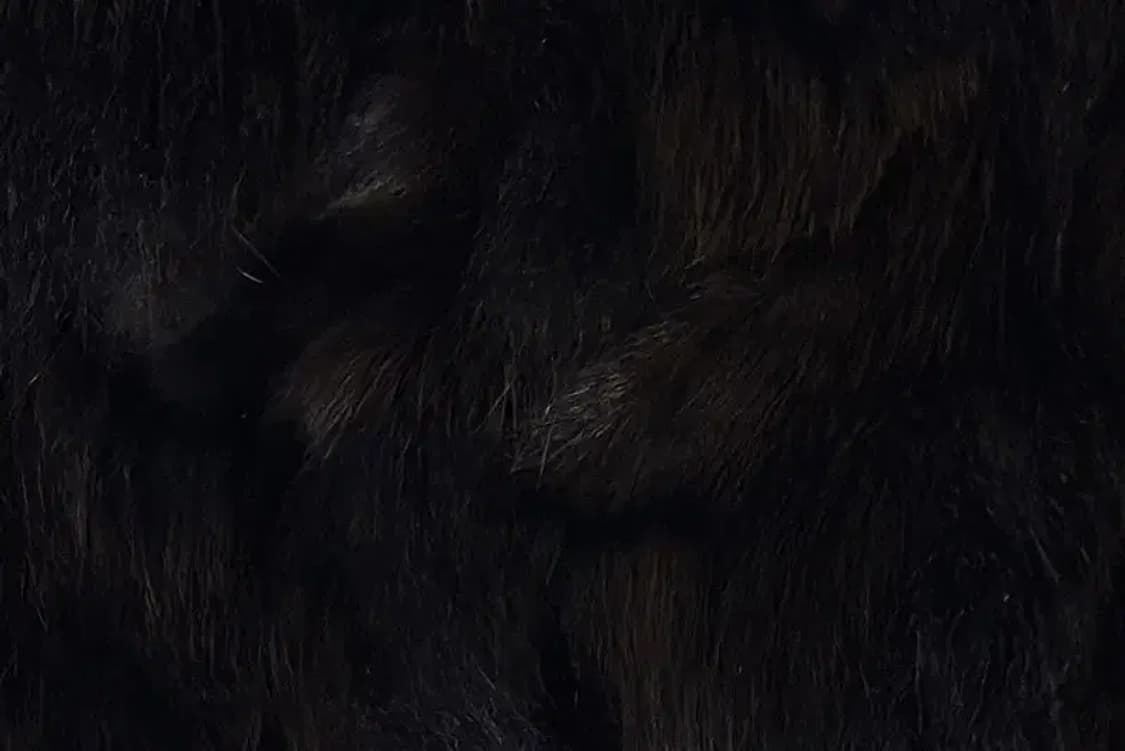 A3128 [SWEET SOUP] 여우털 모피 조끼 상품이미지3