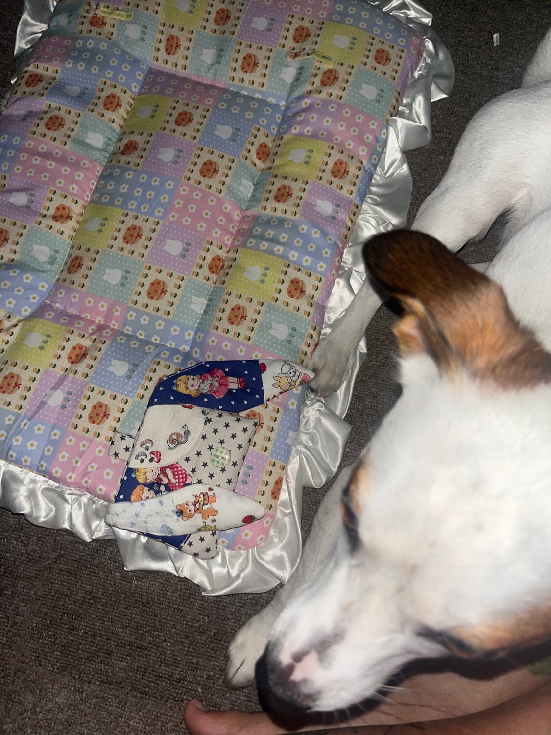 🫧eggu sweet night dream rabbit wallet🫧 상품이미지3