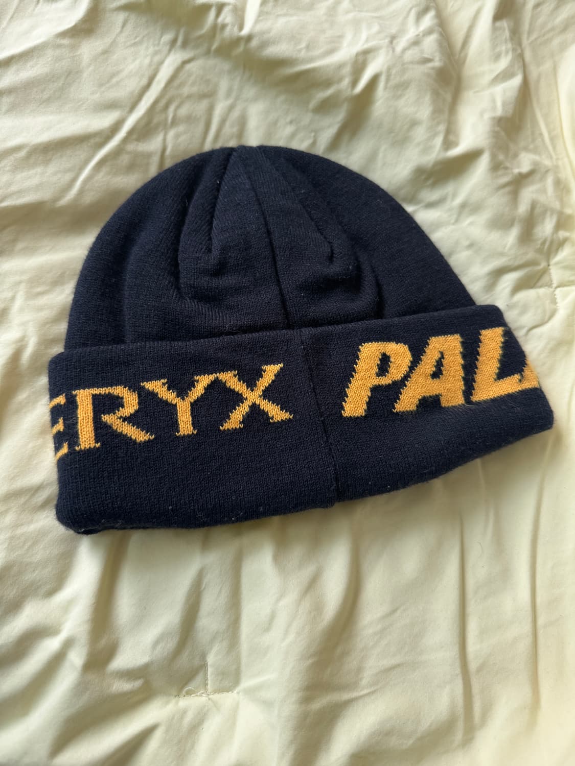 아크테릭스 팔라스 비니 상품이미지2