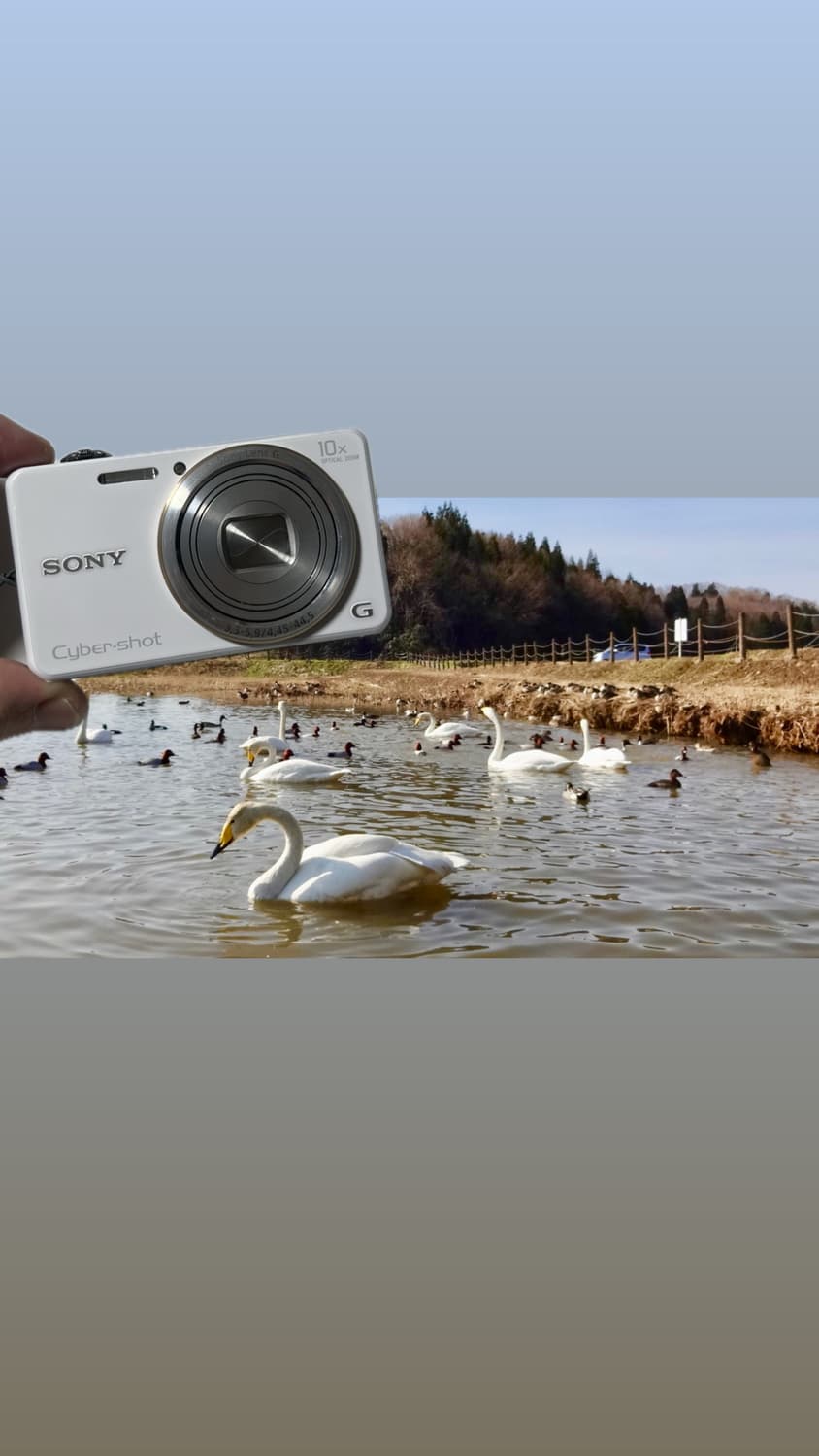 희귀 화이트 디카 소니 사이버샷 DSC-WX100 상품이미지2