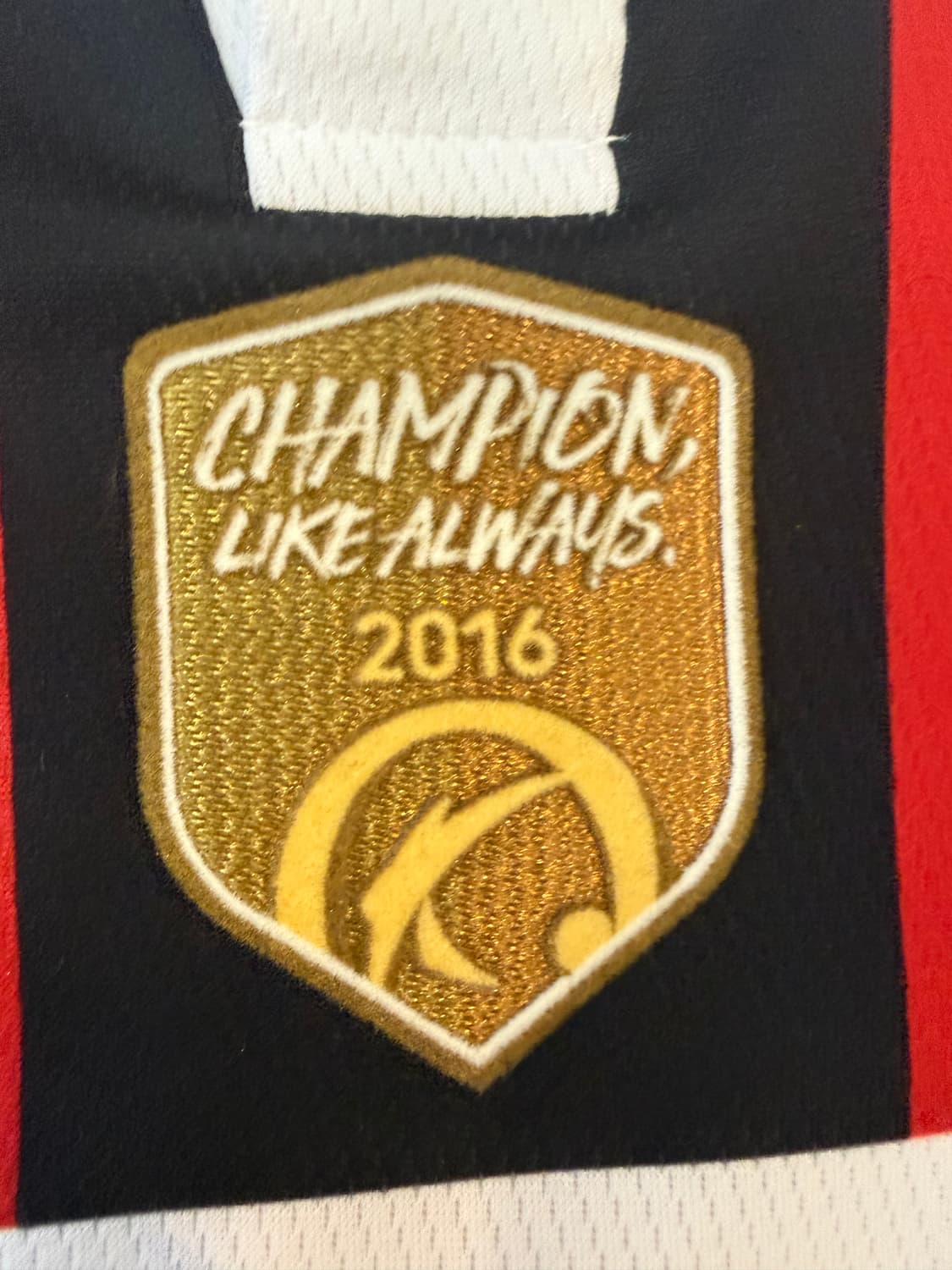 [L/100]2017 FC서울 어웨이 데얀 유니폼 Q7121ZRS13 상품이미지6