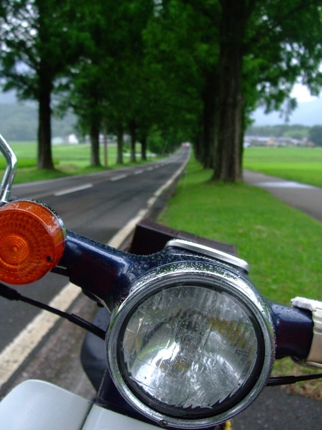 후지필름 FUJIFILM FinePix F50fd 블랙 상품이미지4