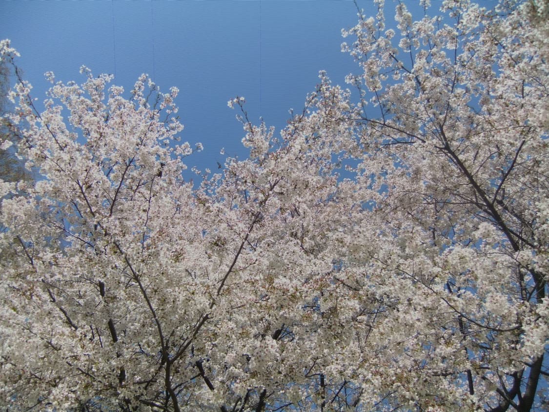 후지필름 파인픽스 f70exr 상품이미지6