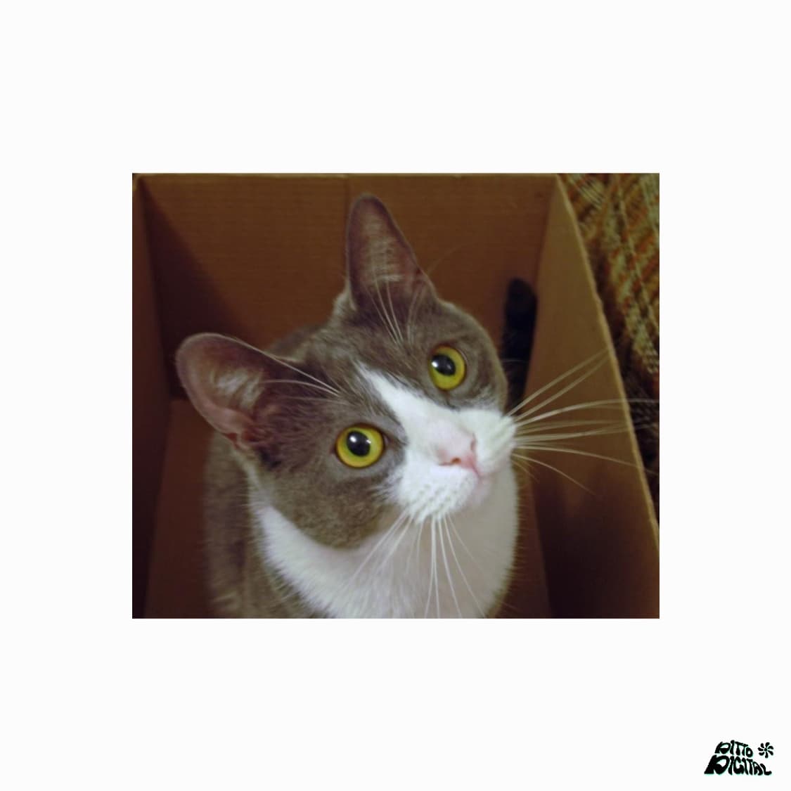 Nikon Coolpix-4600디카 상품이미지8