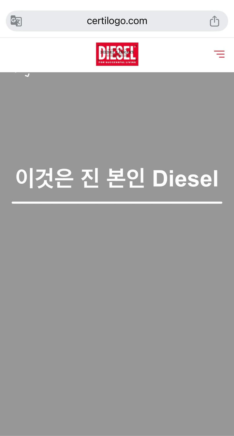 디젤 메탈 D 로고 슬림핏 반팔 티셔츠 블랙 S 상품이미지6