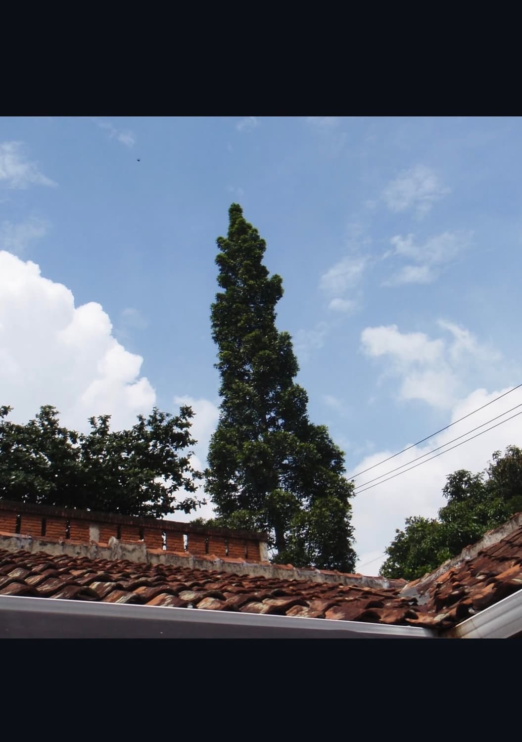 올림푸스 스타일러스 850sw 디지털카메라 상품이미지10