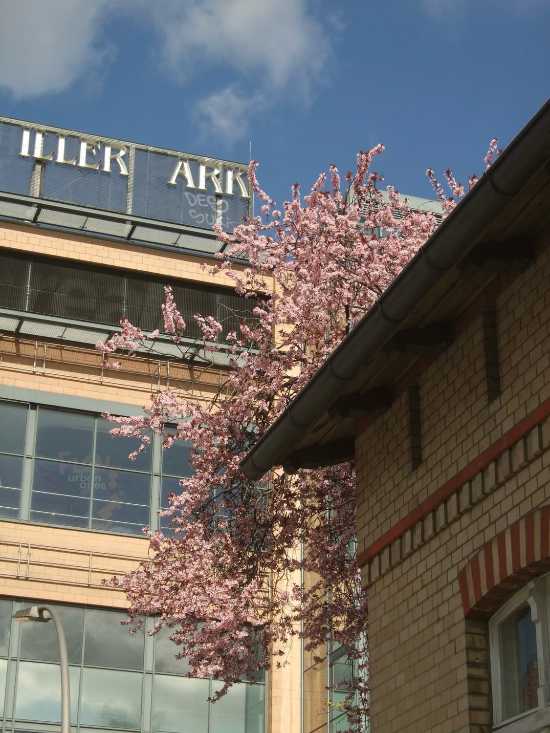 후지필름 파인픽스 F40fd 상품이미지5