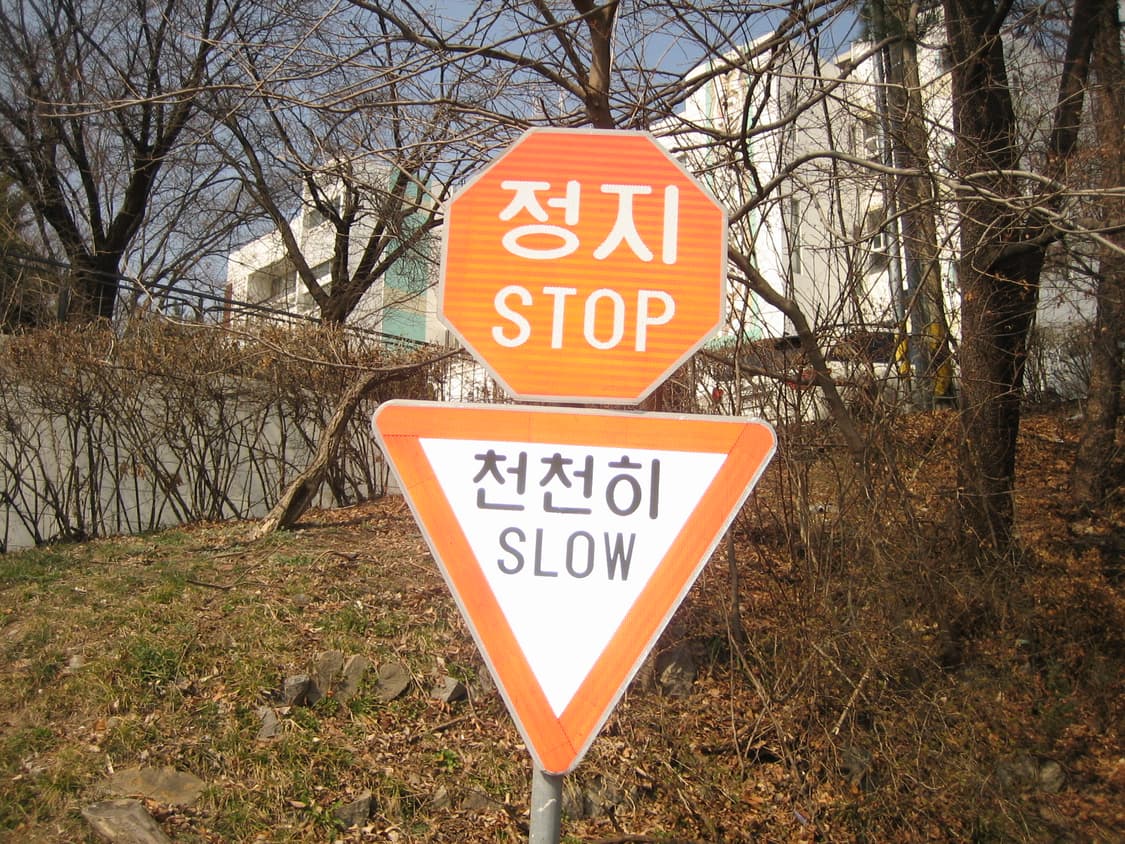 📸캐논 익시60(익서스55) 디카 판매합니다(직접 찍은 작례⭕️) 상품이미지7