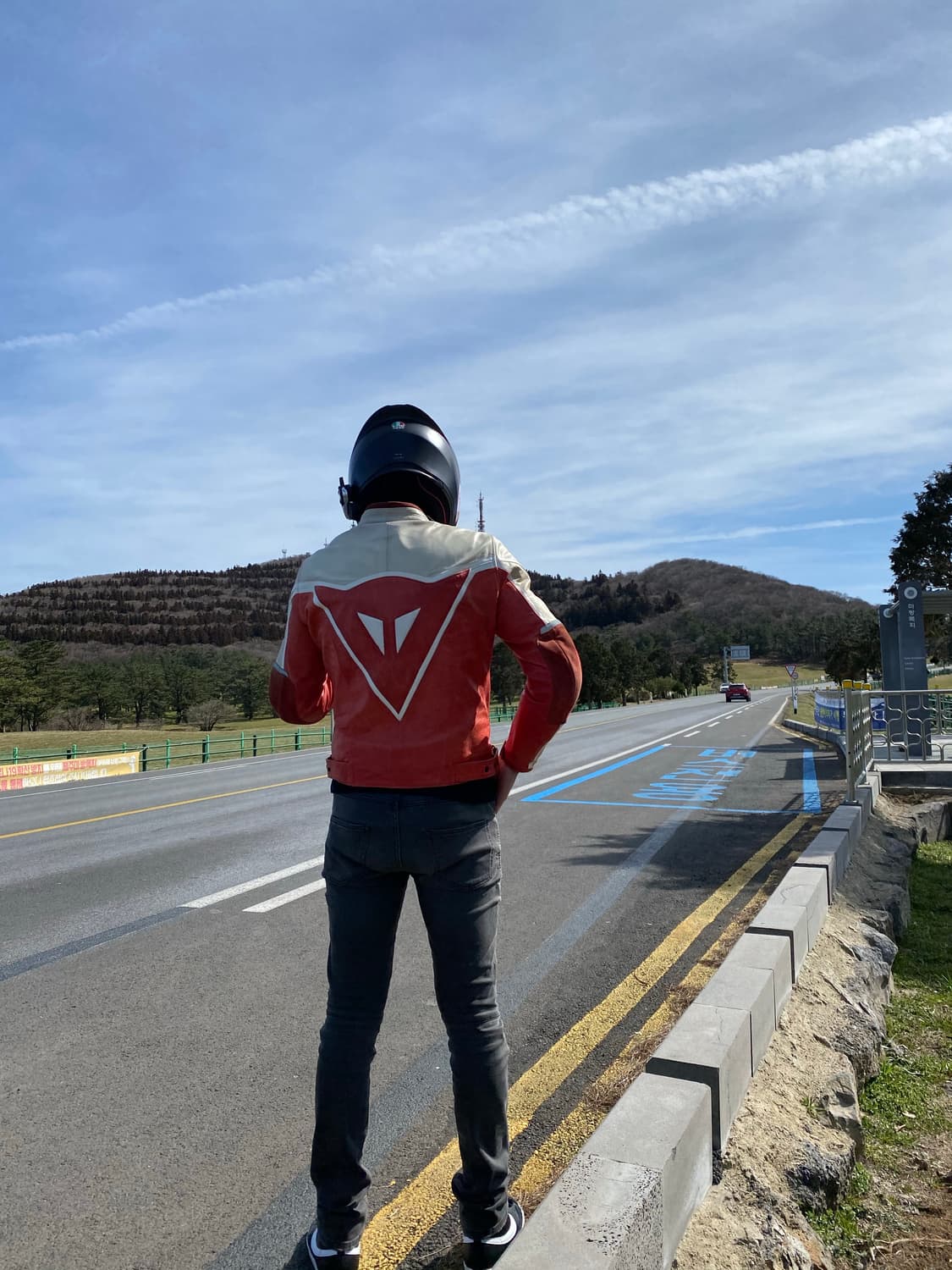 Dainese 레더자켓 상품이미지10