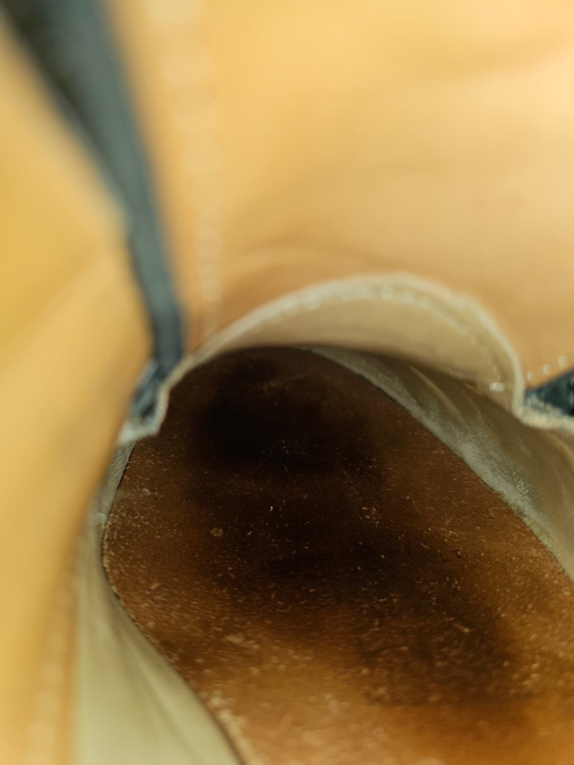 7.5d) 알든 플레인토 부츠 4552h 상품이미지9