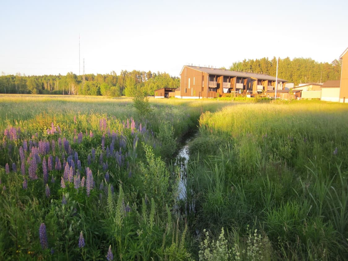 Canon IXUS 105(캐논 익서스 105) 상품이미지7