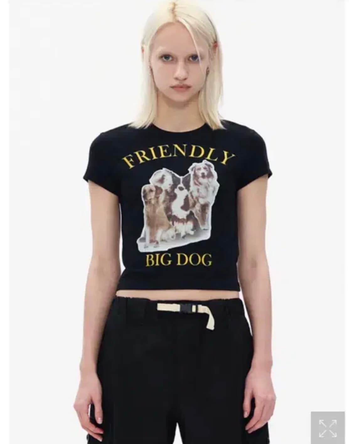 Theopen Product 더오픈프로덕트 빅도그 big dog 크롭티 상품이미지1