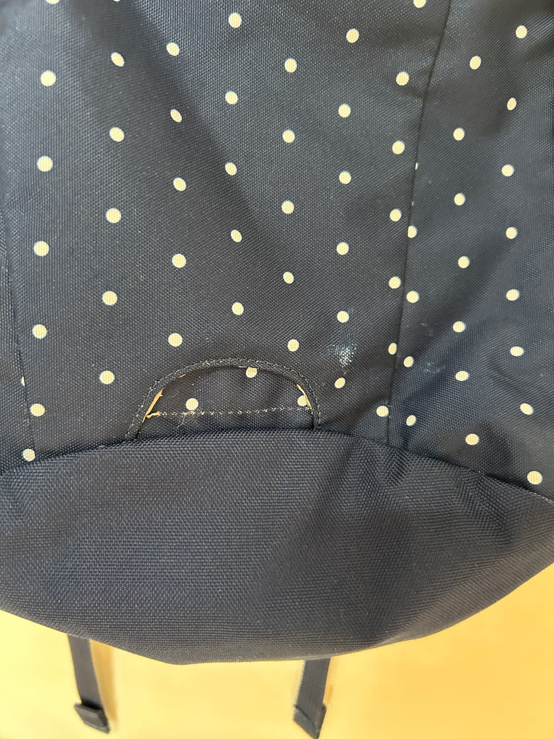 콜맨 땡땡이 백팩  상품이미지2