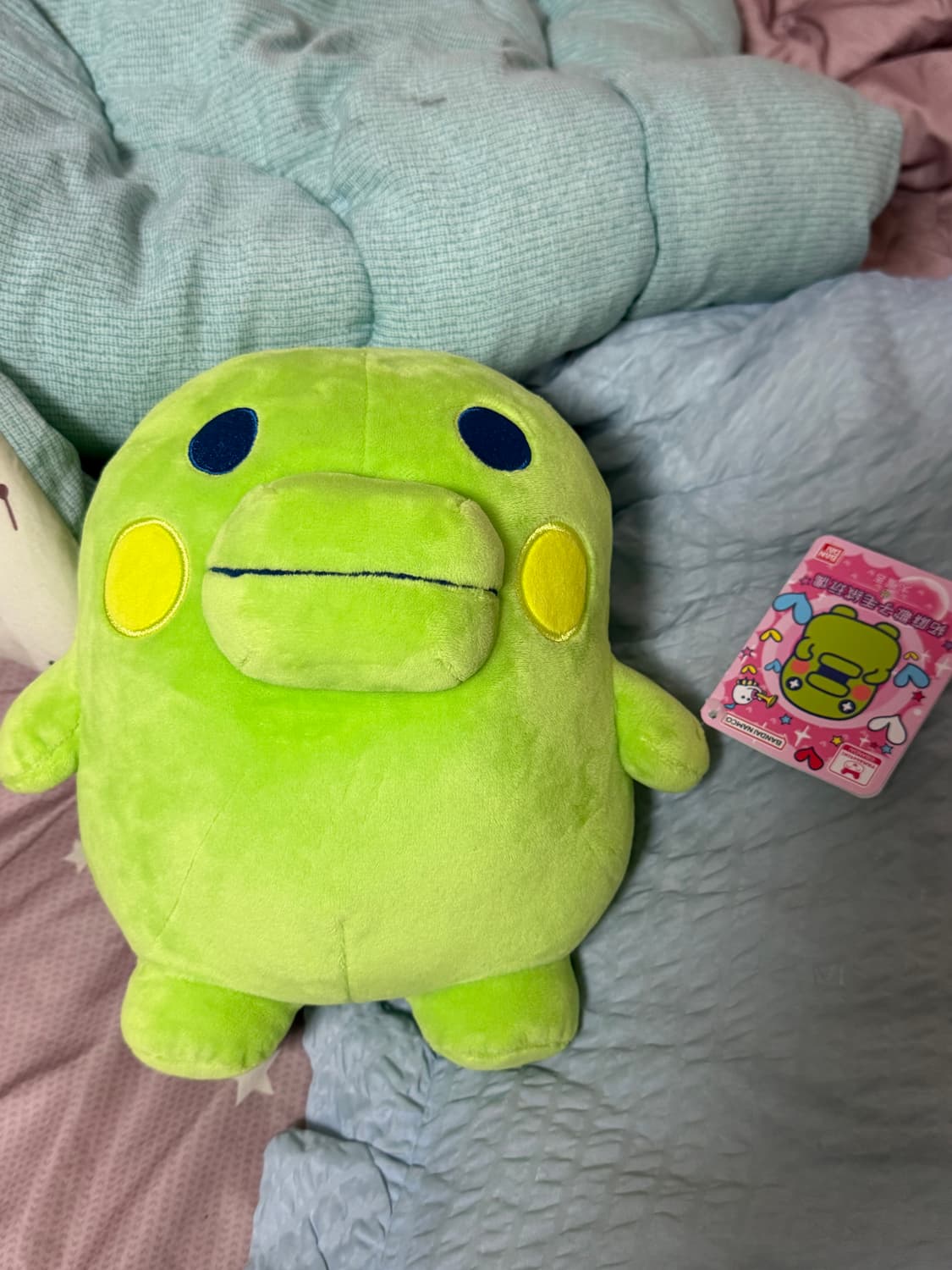 다마고치 구치파치 중국 반다이 정품 중형인형 23cm 쿠치파치 주댕치 상품이미지1