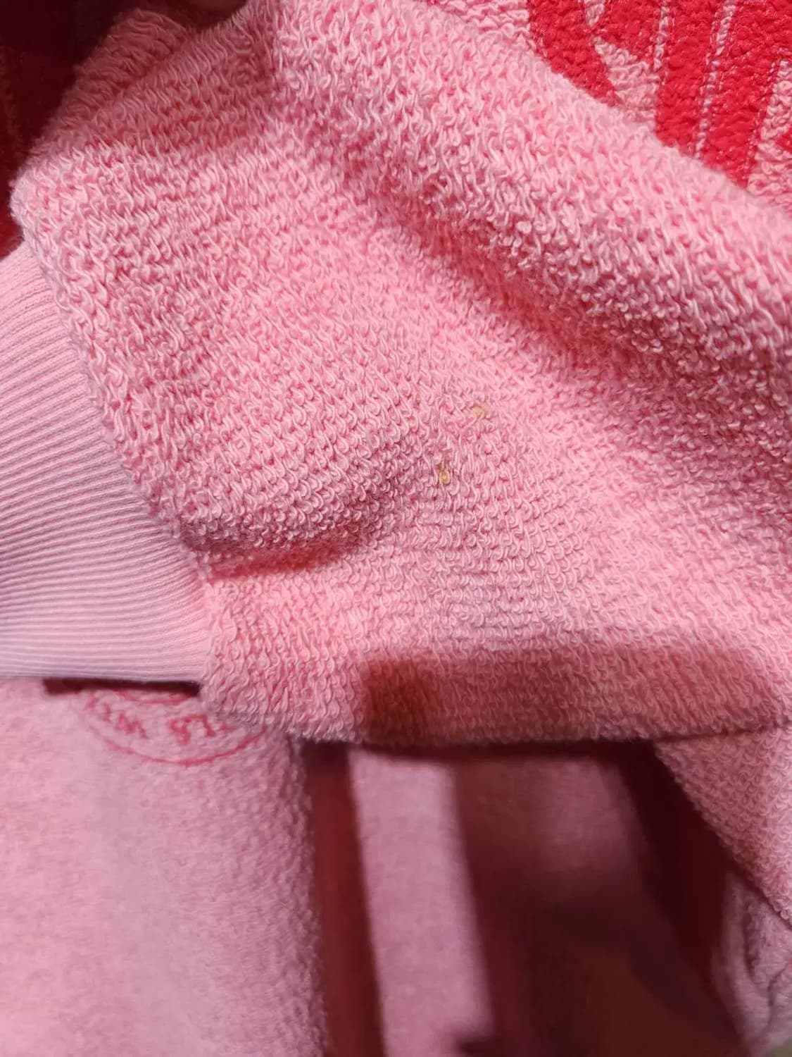 F/ GROVE 그로브스토어 클래식 스웻셔츠 /1114 상품이미지5