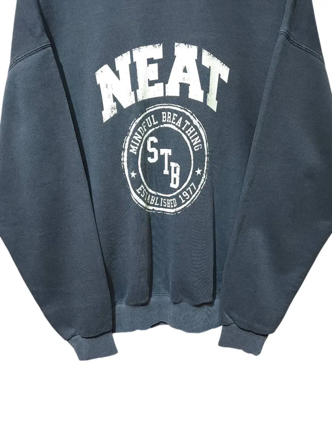 F/ 스튜디오톰보이 피그먼트 데일리 맨투맨 /1203 상품이미지3