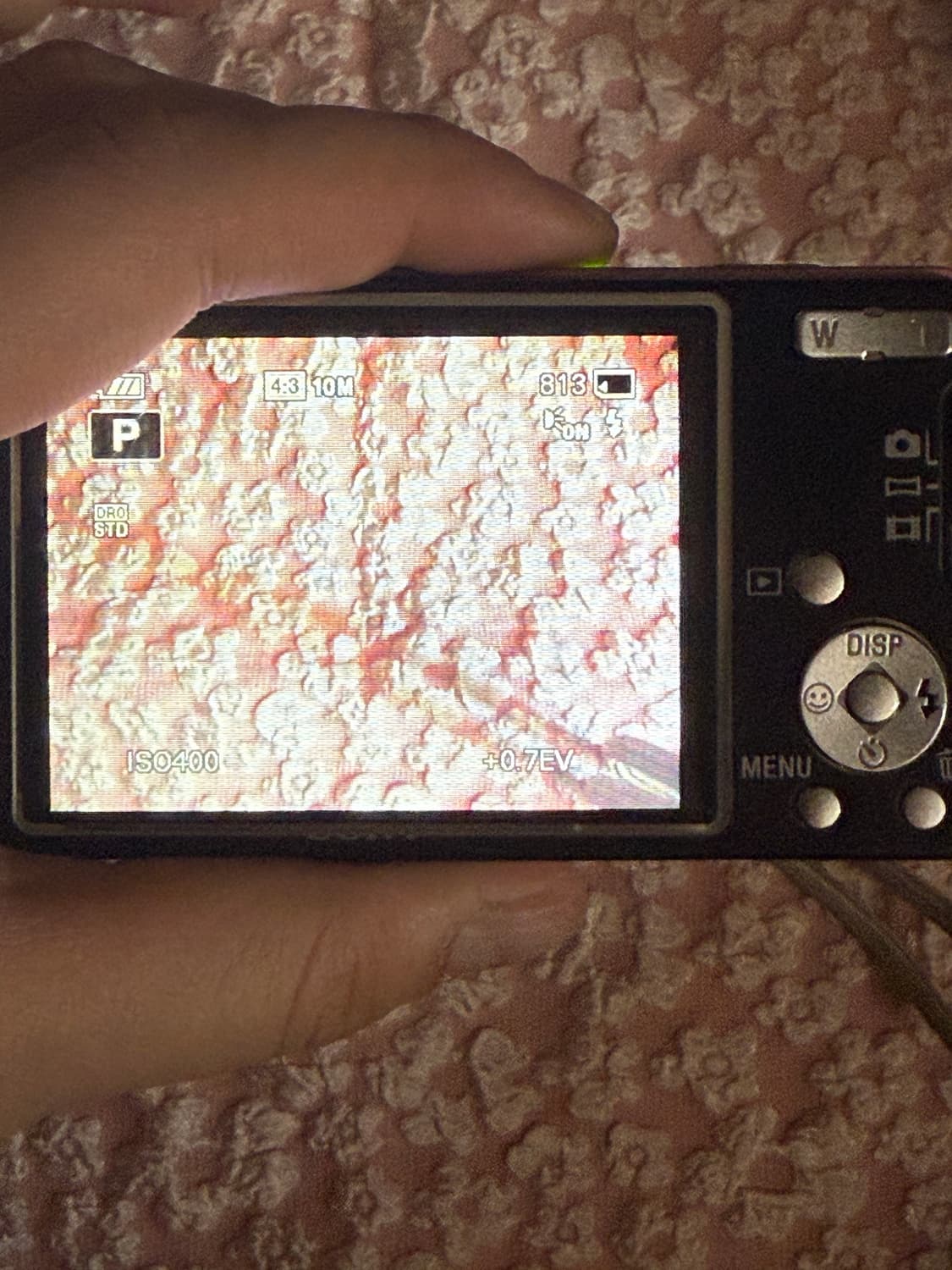 즉시 사용 가능! 소니 DSC-W350 핑크 빈티지 디카 디지털카메라 상품이미지2