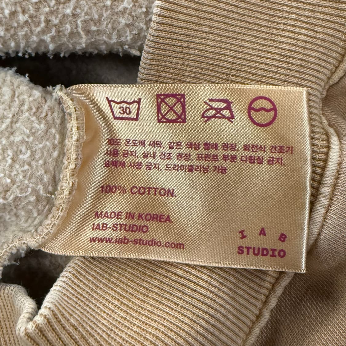 아이앱스튜디오 카멜 베이지 민트 로고 후드티 상품이미지6