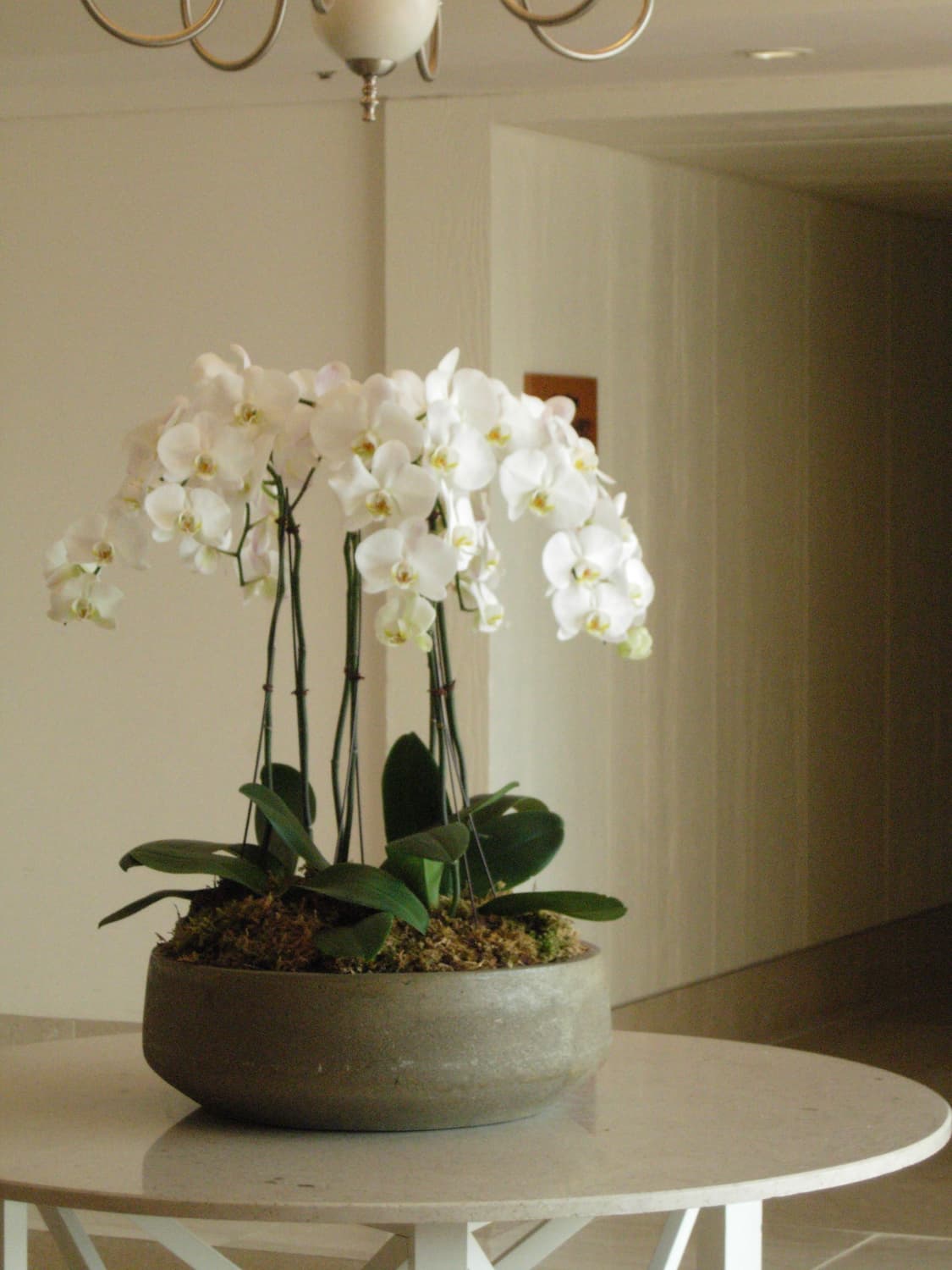 (작례O) 니콘 쿨픽스 P4 상품이미지10