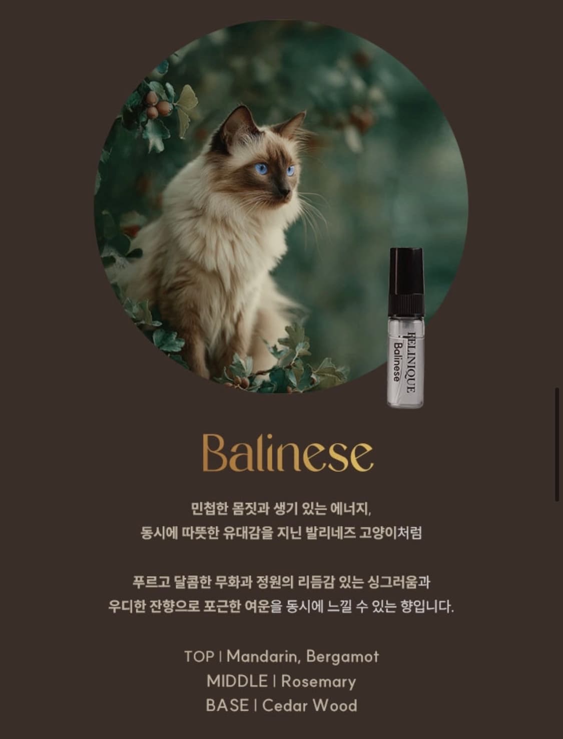 [국문택] 펠리니크 발리네즈 오 드 퍼퓸(3ml) 상품이미지3