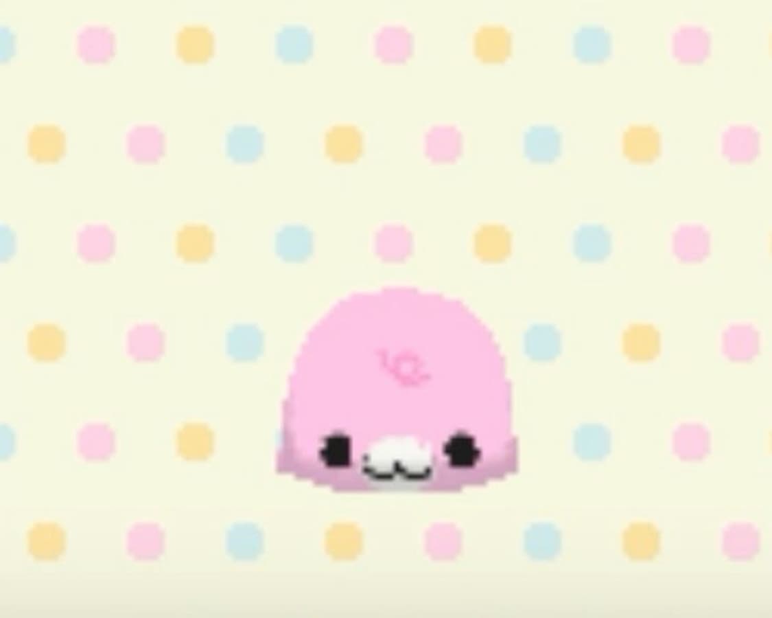 개인결제창 상품이미지1