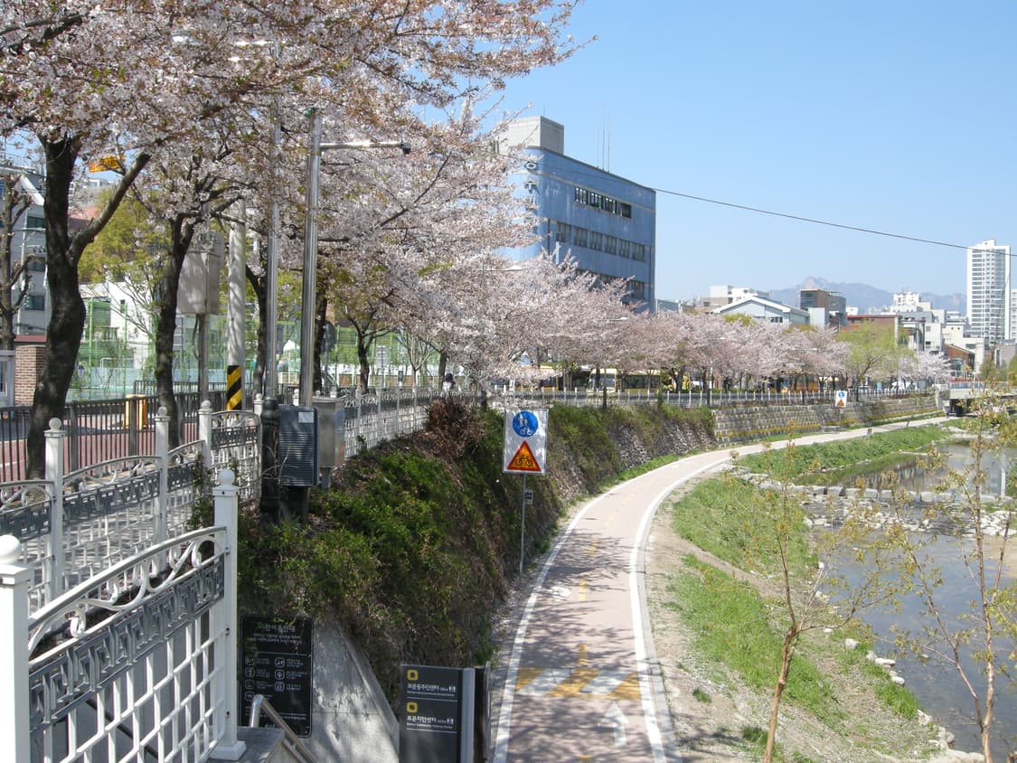 니콘 쿨픽스 p5100(작례0) 상품이미지9