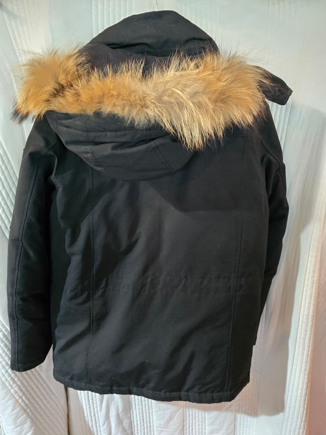 펜필드 라쿤 오리털 패딩  상품이미지3