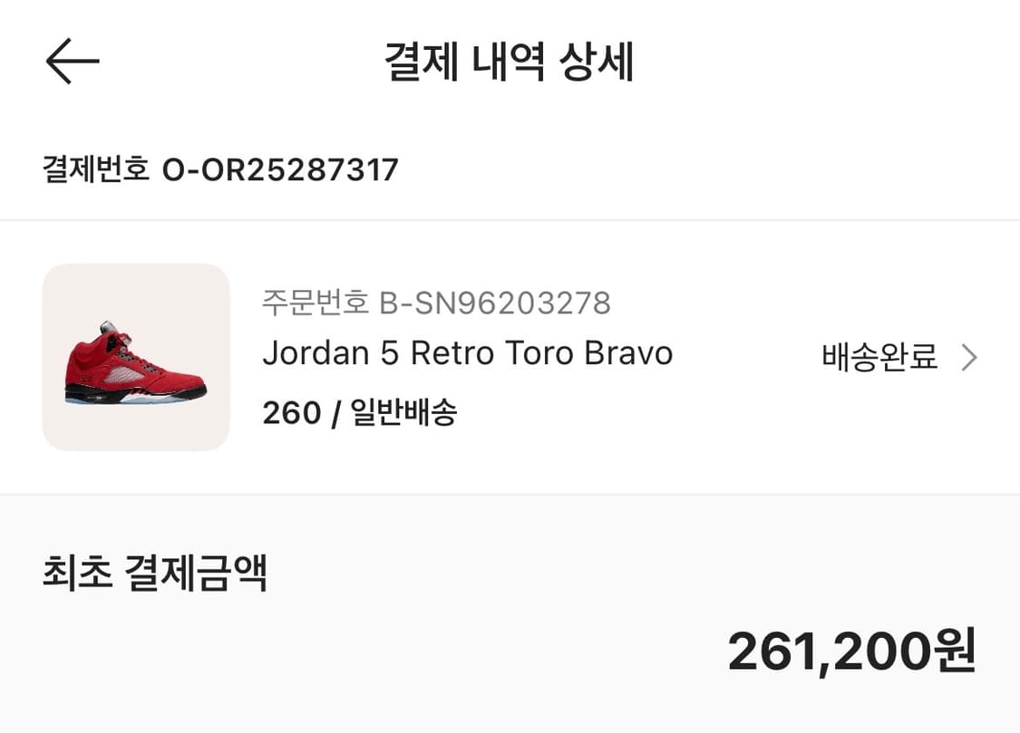 조던5 레트로 토로 브라보 상품이미지5