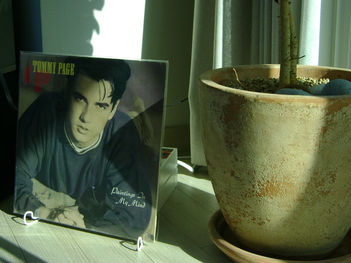 소니 사이버샷 S730 빈티지 디카 (작례) 상품이미지7