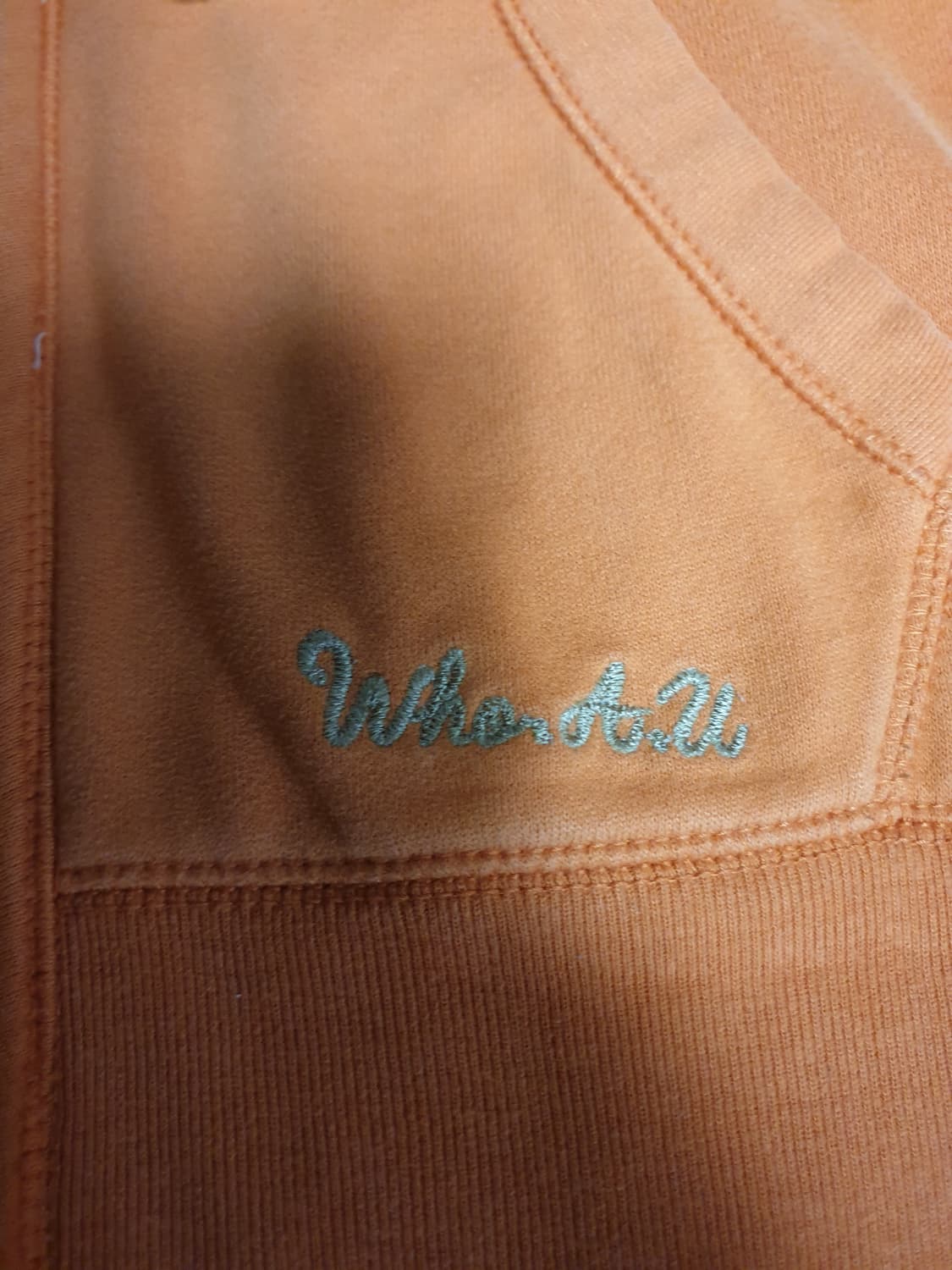 후아유 캘리포니아 빈티지 자수 기모 후드집업 (S) 상품이미지3