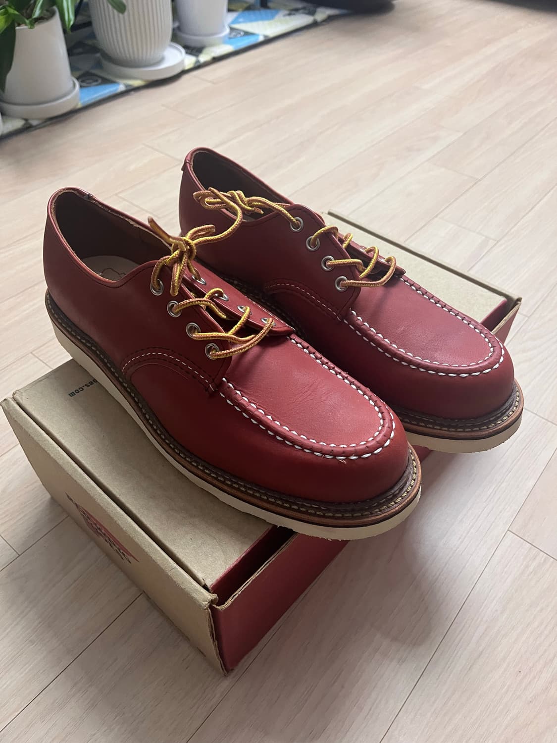 레드윙 8103 옥스포드 오로레거시 새상품 상품이미지2