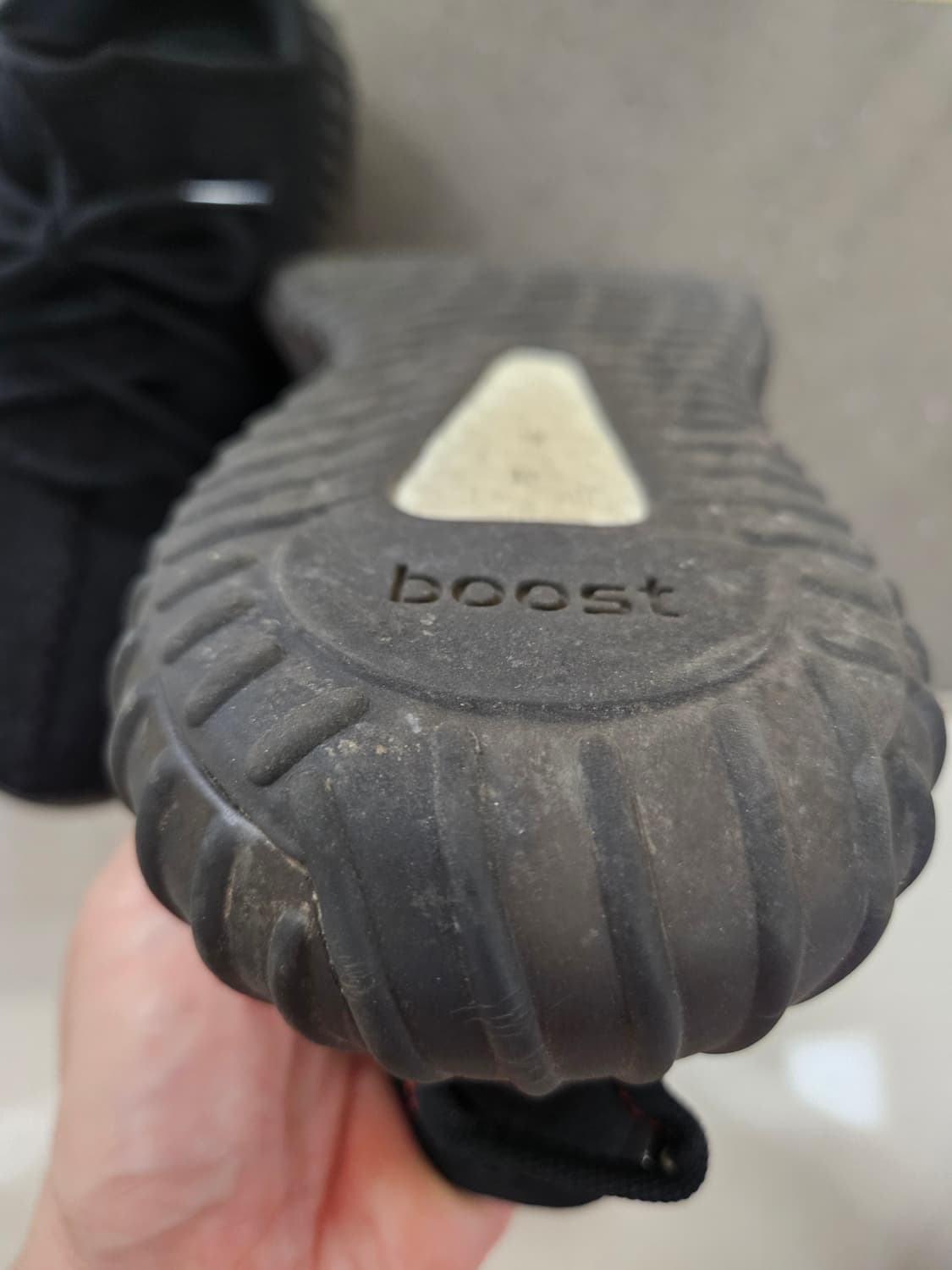 이지 350  브레드 상품이미지5