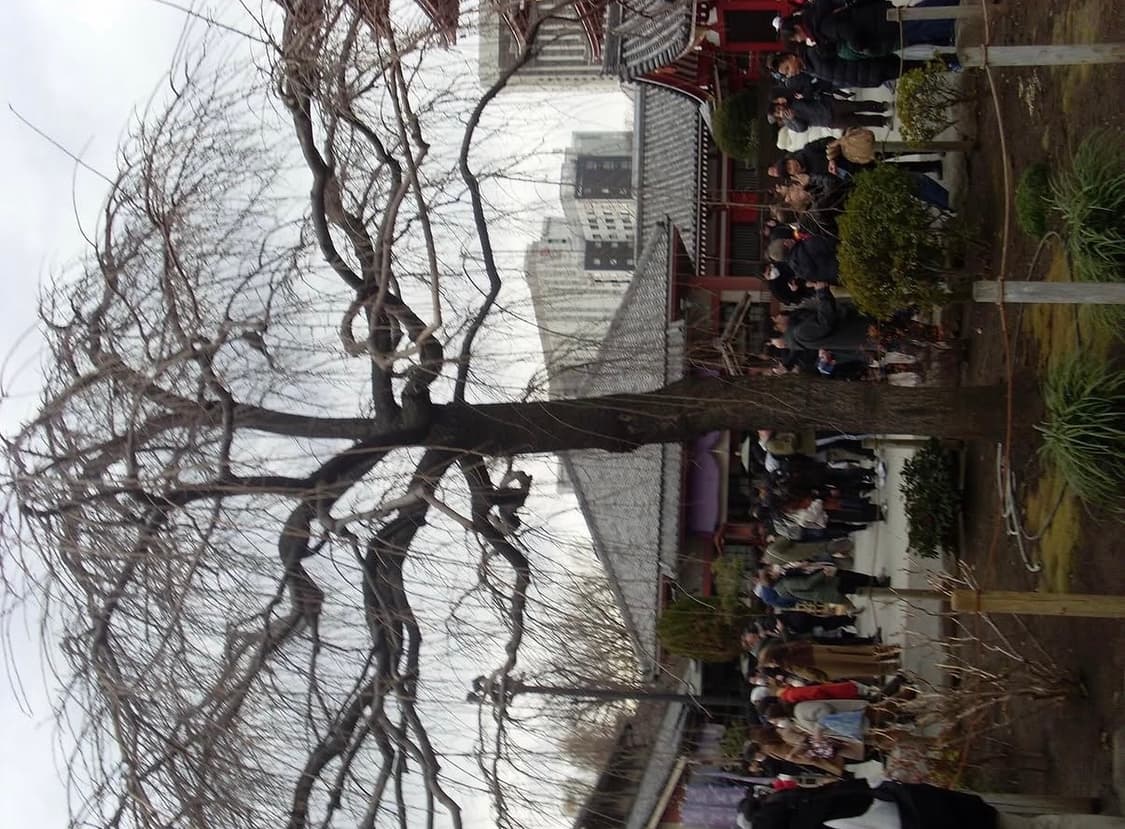 삼성 디카 디지털카메라 상품이미지5