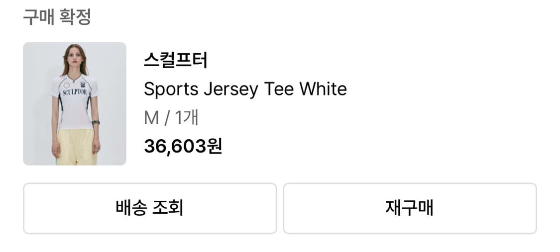 스컬프터 티 상품이미지1